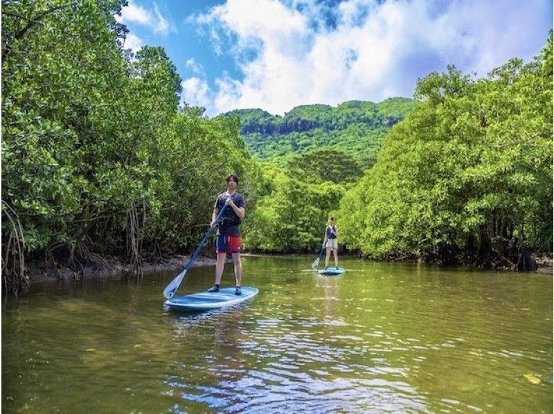 [Iriomote Island/1 day] Enjoy the World Heritage Site! Enjoy two rivers at Mizuochi Falls & mangrove SUP/canoeing! [Free photo data]の紹介画像