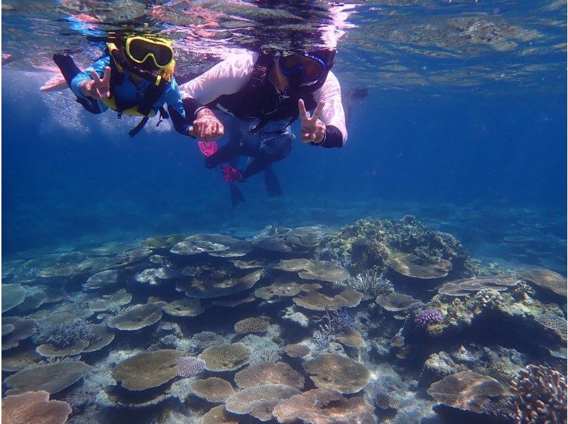 [Iriomote Island/1 day] Head to Mizuochi Falls! Mangrove SUP or canoeing & tropical snorkeling [Photo data/equipment rental free]の紹介画像