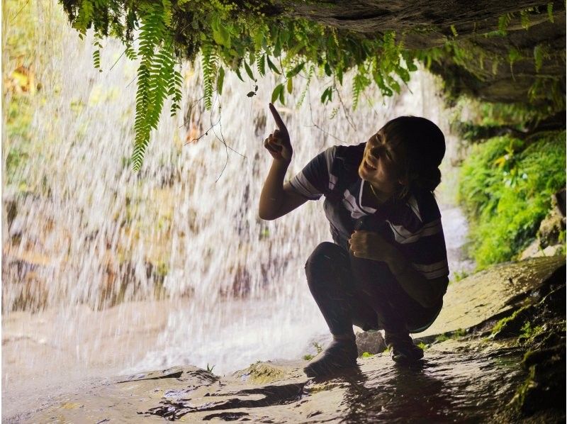 Iriomote Island ADVENTURE PiPi (PiPi) Organized Behind the Scenes of Sangara Falls