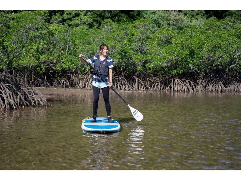 [Iriomote Island/1 day] Head to Mizuochi Falls! Mangrove SUP or canoeing & tropical snorkeling [Photo data/equipment rental free]の紹介画像