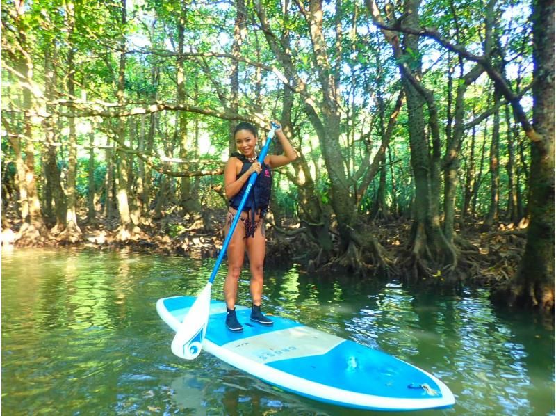 [Iriomote Island/1 day] Have fun on two rivers! Mangrove SUP or canoeing & canyoning to Mizuochi Falls [Photo data/equipment rental free]の紹介画像