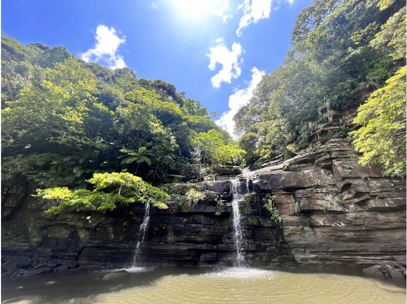 [Iriomote Island/1 day] Have fun on two rivers! Mizuochi Falls SUP/Canoeing & Canyoning [Photo data/Free equipment rental]の紹介画像