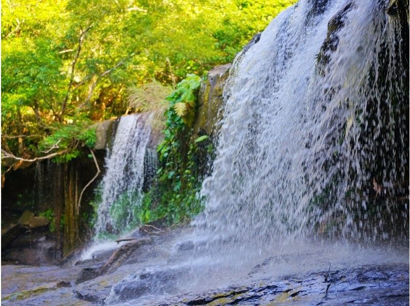 [Okinawa, Iriomote Island] Enjoy two rivers! Sangara Falls SUP/Canoe & Canyoning 1 day tour!