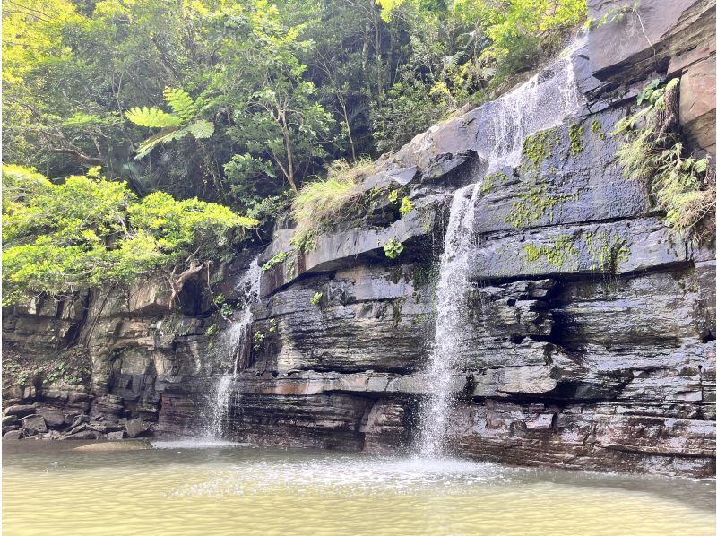 [Iriomote Island/1 day] Have fun on two rivers! Mizuochi Falls SUP/Canoeing & Canyoning [Photo data/Free equipment rental]の紹介画像