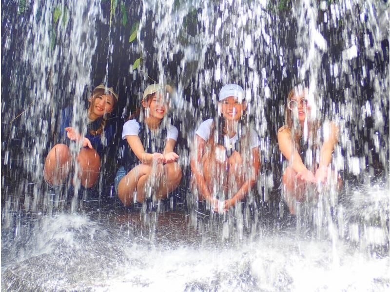 [1天]以桑加拉瀑布為目標的叢林SUP/獨木舟和由布島觀光套餐旅遊[照片數據/設備租賃免費]春季促銷正在進行中の紹介画像