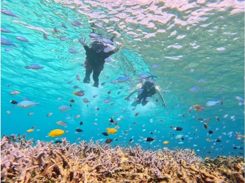 [เกาะอิริโอโมเตะ/1 วัน] เกาะบารัส x ชายหาดสุดตระการตา! ชุดดำน้ำตื้นที่สมบูรณ์แบบที่เกาะอิริโอะโมะเตะ [ข้อมูลภาพถ่าย / อุปกรณ์ให้เช่าฟรี]の紹介画像