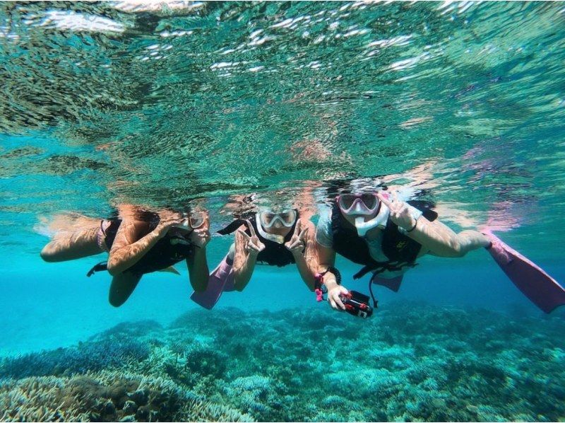 【西表島/1天】巴拉斯島x壯觀的海灘！西表島完美浮潛套裝【照片資料/裝備免費租借】の紹介画像