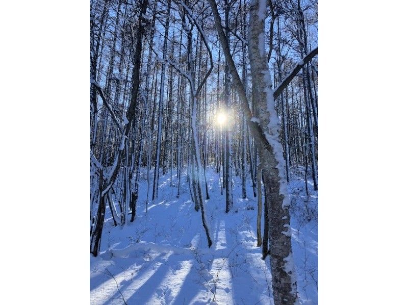 Easy!! Snow trekking Experience a little safe snowy forest! A leisurely 1-hour walk along a secret trailの紹介画像