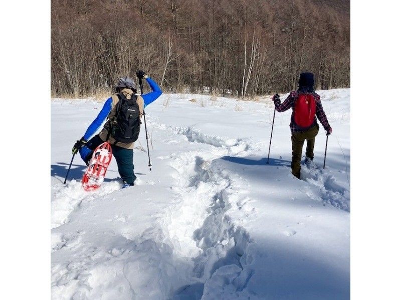 お手軽　スノートレッキング　1時間30分以内　安全な雪の森の中をちょっとだけ体験　のんびり 秘密のトレイル散策プランの紹介画像