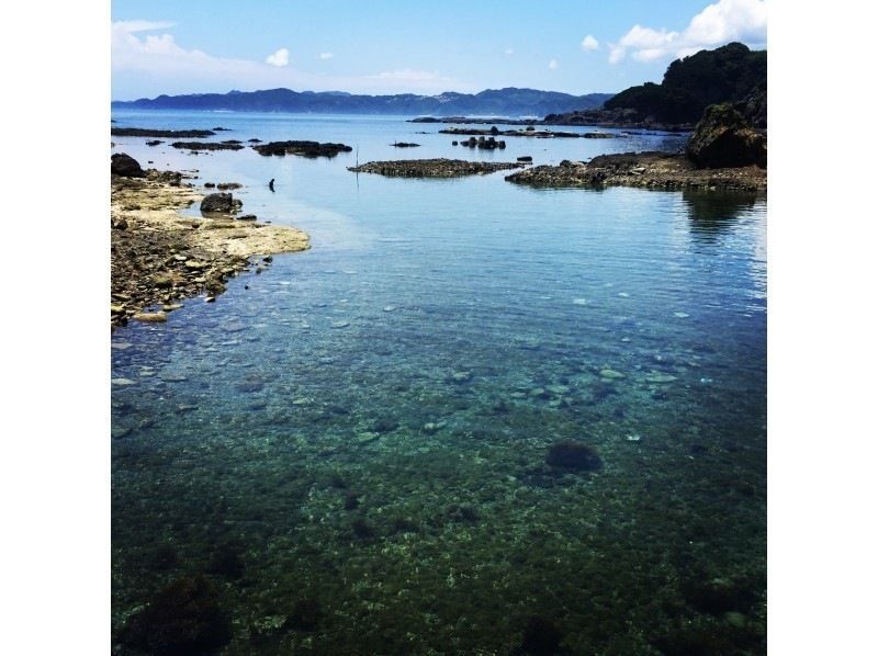 [Shimoda/Ebisu Island] Guided snorkeling tour with excellent visibilityの紹介画像