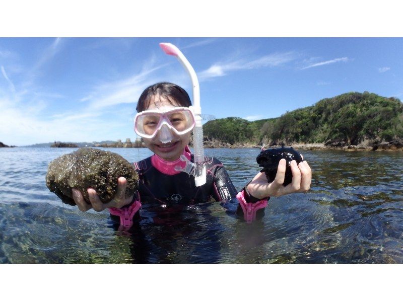 [Shimoda/Ebisu Island] Guided snorkeling tour with excellent visibilityの紹介画像