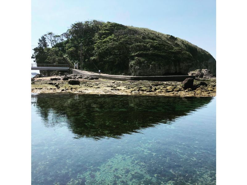 [Shimoda/Ebisu Island] Guided snorkeling tour with excellent visibilityの紹介画像
