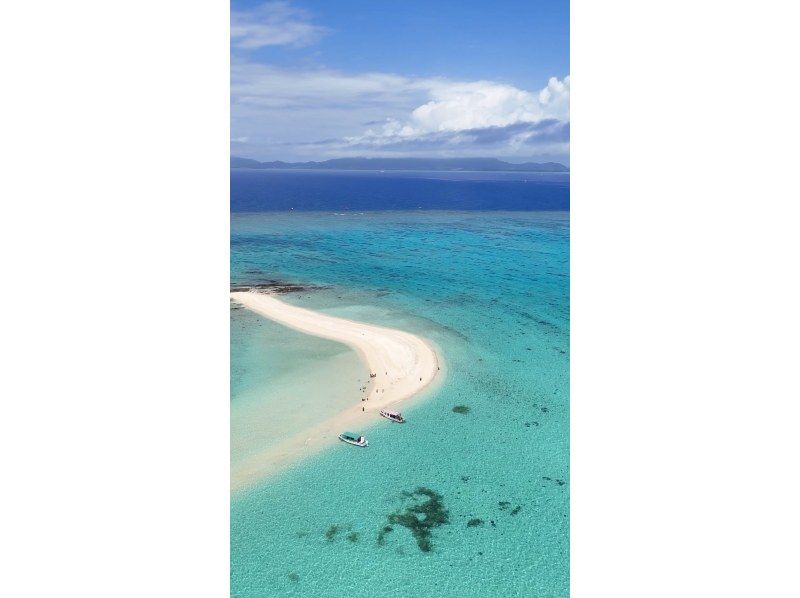 【早割8500円】カップル、ご夫婦、友人｜初めてでも安心｜専属ガイドがご案内｜幻の島上陸＆体験ダイビング【石垣島、午前、午後/2便】の紹介画像