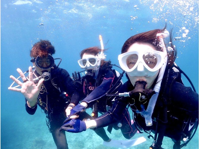 【早割9000円】カップル、ご夫婦、友人｜初めてでも安心｜専属ガイドがご案内｜幻の島上陸＆体験ダイビング【石垣島、午前、午後/2便】の紹介画像