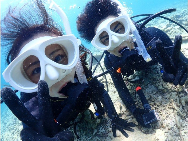 【早割でお得に埋まり次第終了】☆トロピカルな魚と海中探検☆有名な幻の島上陸＆初心者向け体験ダイビング【写真付き】【石垣島、午前、午後/2便】の紹介画像