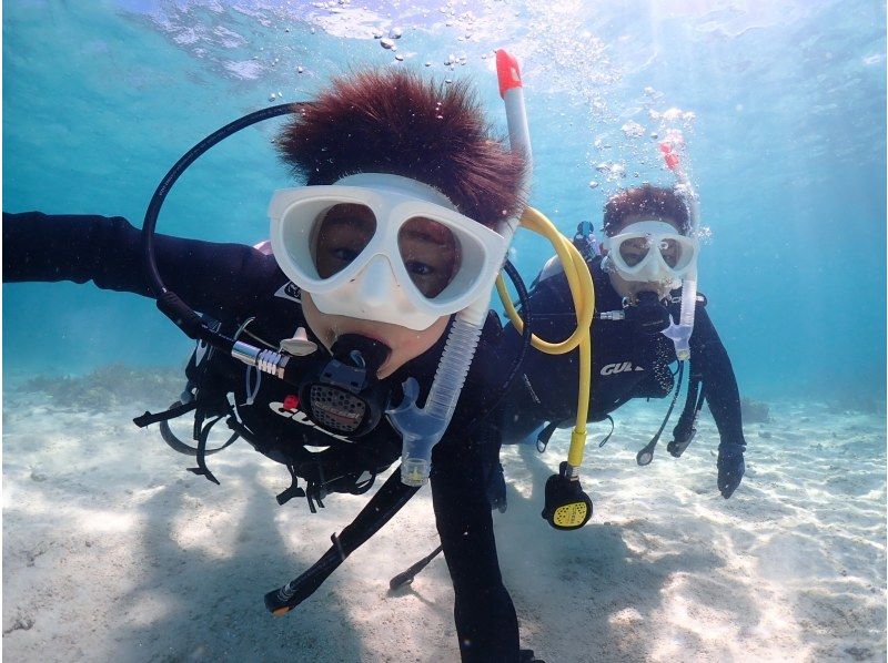 【早割9000円】カップル、ご夫婦、友人｜初めてでも安心｜専属ガイドがご案内｜幻の島上陸＆体験ダイビング【石垣島、午前、午後/2便】の紹介画像