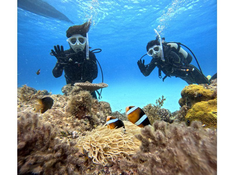 【早割でお得に埋まり次第終了】☆トロピカルな魚と海中探検☆有名な幻の島上陸＆初心者向け体験ダイビング【写真付き】【石垣島、午前、午後/2便】の紹介画像