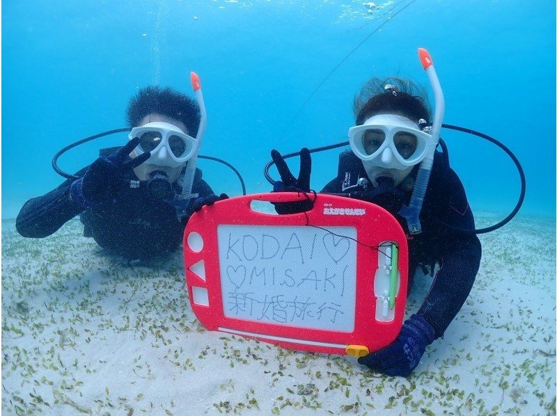 【早割8500円】カップル、ご夫婦、友人｜初めてでも安心｜専属ガイドがご案内｜幻の島上陸＆体験ダイビング【石垣島、午前、午後/2便】の紹介画像