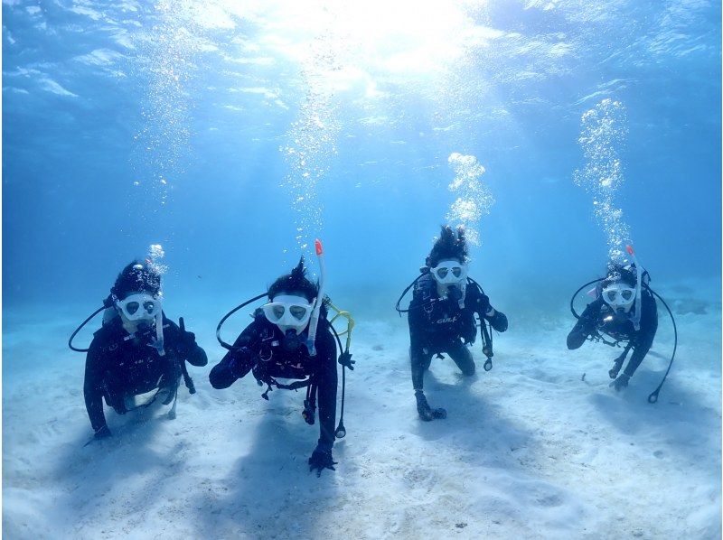【早割9000円】カップル、ご夫婦、友人｜初めてでも安心｜専属ガイドがご案内｜幻の島上陸＆体験ダイビング【石垣島、午前、午後/2便】の紹介画像