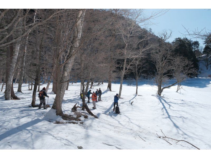 「スノーシュー上級編」ネイチャーガイドと尋ねる秘境！氷結の刈込湖トレッキング【栃木県・奥日光】の紹介画像