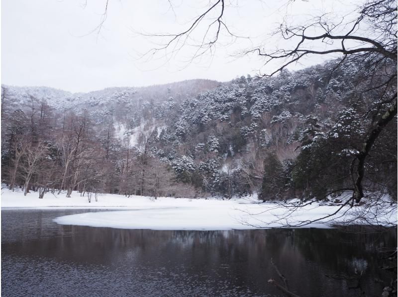 「スノーシュー上級編」ネイチャーガイドと尋ねる秘境！氷結の刈込湖トレッキング【栃木県・奥日光】の紹介画像