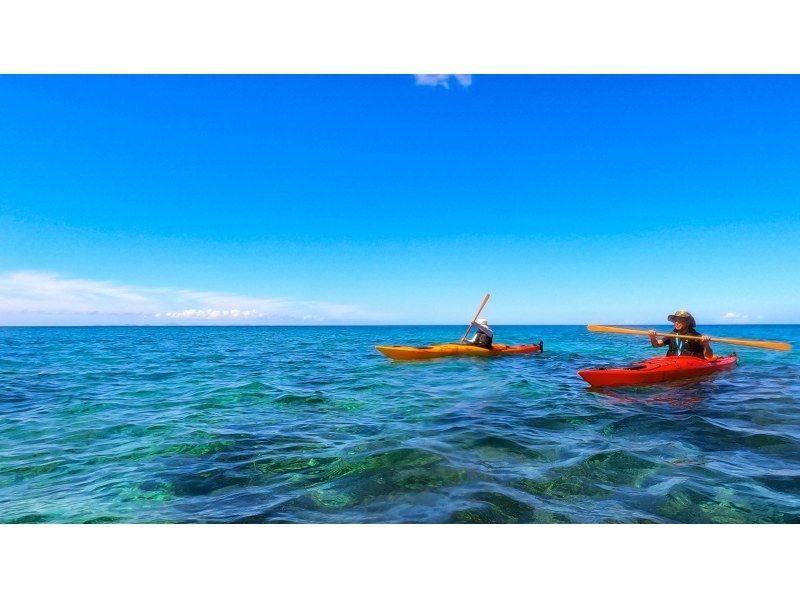 [Northern Okinawa] Adult play! Sea kayaking & snorkeling | Half-day tourの紹介画像