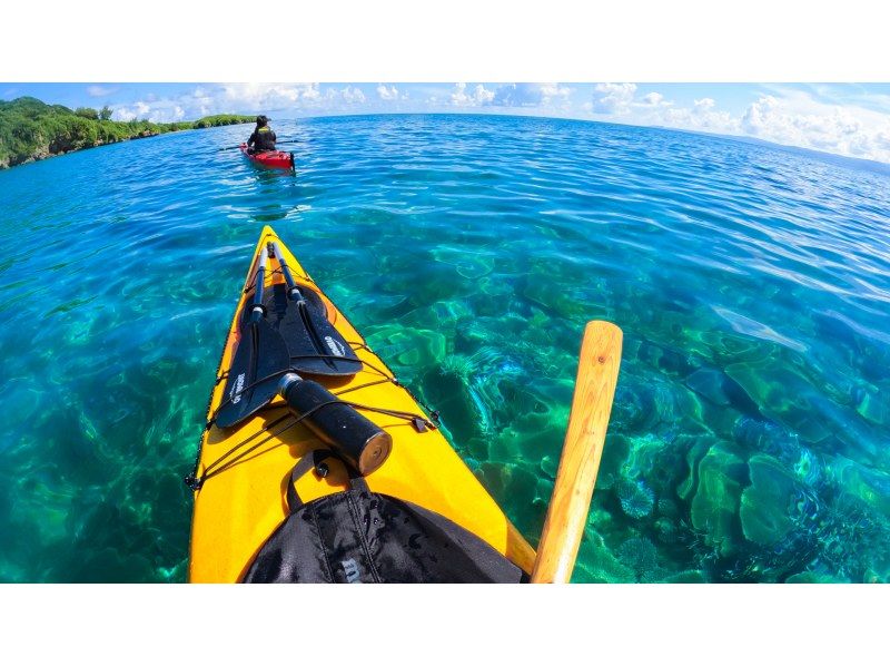 [Northern Okinawa] Adult play! Sea kayaking & snorkeling | Half-day tourの紹介画像