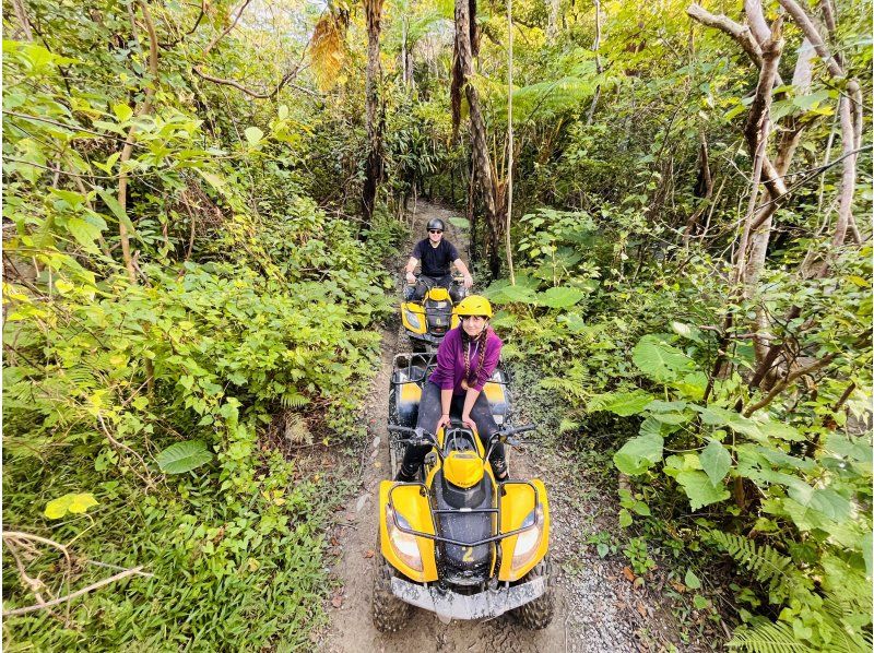 [Okinawa/Nago] 60 minutes buggy experience! Hidden nature about 10 minutes from downtown Nago! "The Ultimate Jungle Exploration Course"の紹介画像