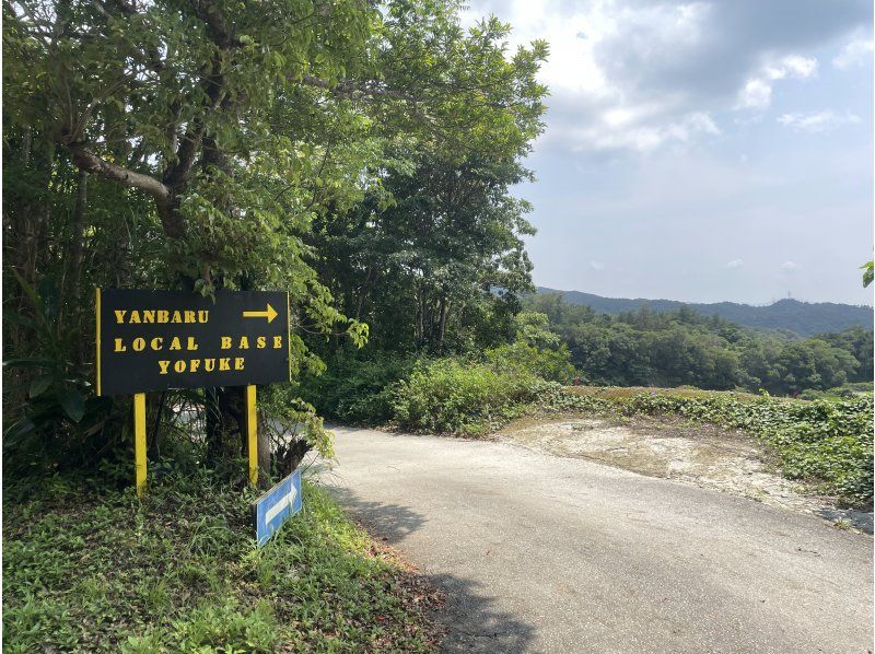 [Okinawa/Nago] 90 minutes buggy experience! ! Hidden nature about 10 minutes from downtown Nago! "Authentic buggy experience course"の紹介画像