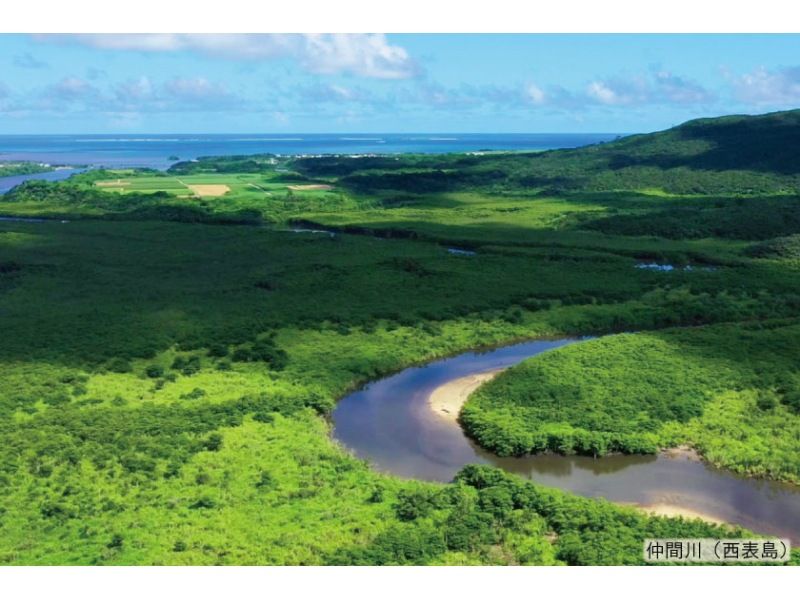 【1番人気の3島めぐり】西表･由布･竹富3島めぐり　竹富島でバス観光＜7時間／昼食付／R-2B＞の紹介画像