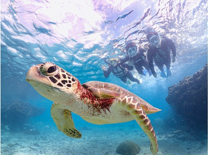 [Miyakojima | Sea turtle encounter rate is almost 100%] Small-group snorkeling tour for beginners | / Safe even in winter / Same-day reservations available / Free high-resolution dataの紹介画像