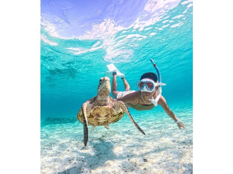 [Miyakojima] 100% chance of encountering them!! Beginners and children welcome!! A special snorkeling experience where you can swim up close with sea turtles and tropical fish!! Free high-resolution photos!!の紹介画像