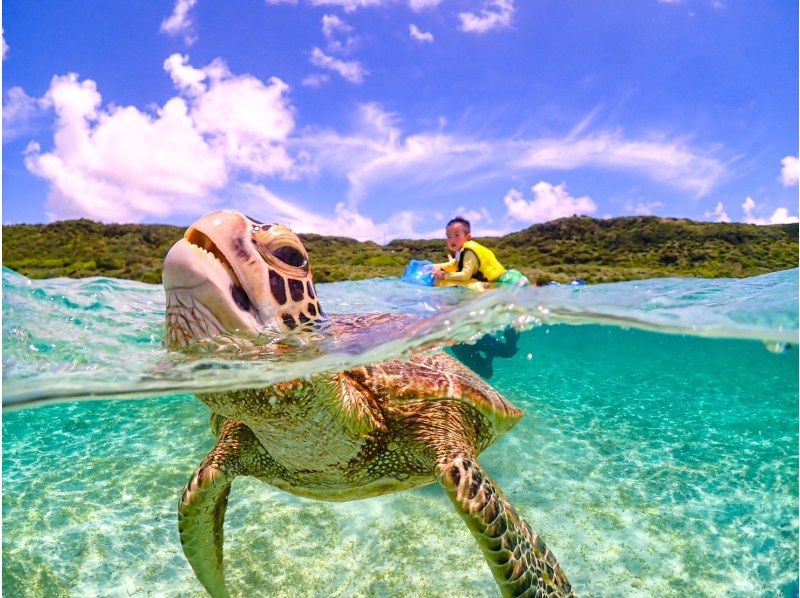 【宮古島】インスタ映え！ウミガメと泳げる贅沢なシュノーケリングツアー！高画質写真データ&器材全て無料！！初心者やお子様でも大歓迎！！！