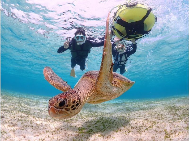 【宮古島/送迎可能】遭遇率100％継続！ ウミガメやカラフルなお魚と泳げる感動のシュノーケルツアー／当日予約＆前日予約OK！の紹介画像