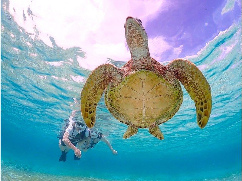 【宮古島】インスタ映え！ウミガメと泳げる贅沢なシュノーケリングツアー！高画質写真データ&器材全て無料！！初心者やお子様でも大歓迎！！！