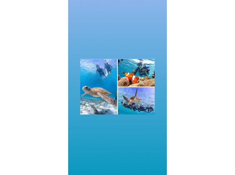 【宮古島/送迎可能】遭遇率100％継続！ ウミガメやカラフルなお魚と泳げる感動のシュノーケルツアー／当日予約＆前日予約OK！の紹介画像