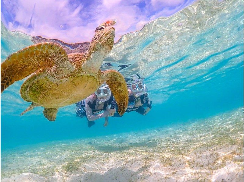 【宮古島】インスタ映え！ウミガメと泳げる贅沢なシュノーケリングツアー！高画質写真データ&器材全て無料！！初心者やお子様でも大歓迎！！！