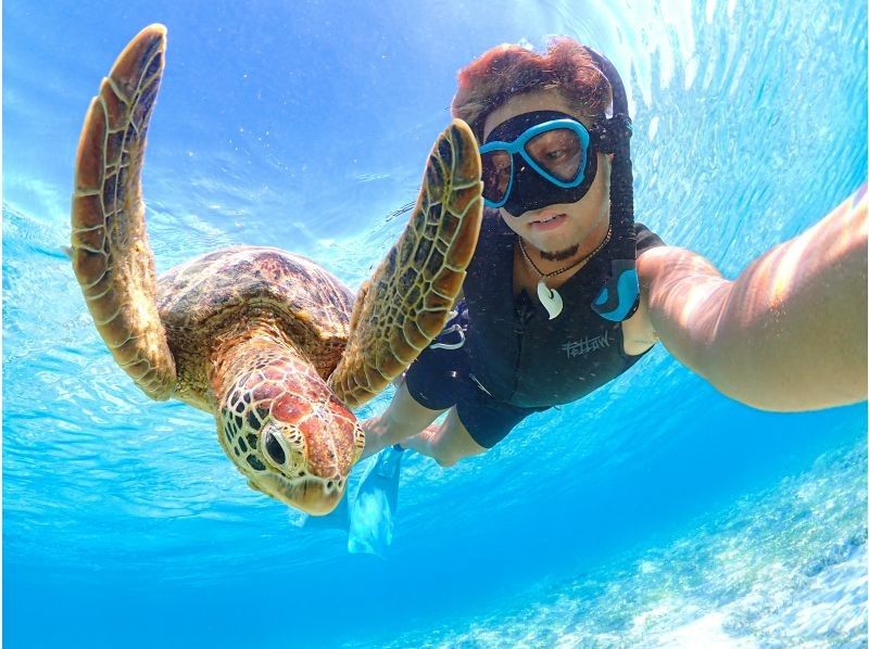 [Miyakojima | Sea turtle encounter rate is almost 100%] Small-group snorkeling tour for beginners | / Safe even in winter / Same-day reservations available / Free high-resolution dataの紹介画像