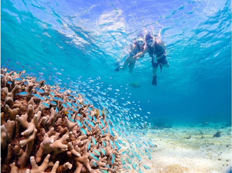 【宮古島】インスタ映え！ウミガメと泳げる贅沢なシュノーケリングツアー！高画質写真データ&器材全て無料！！初心者やお子様でも大歓迎！！！