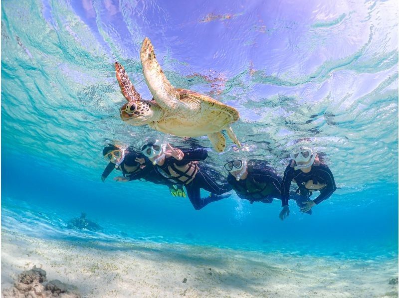 [Miyakojima] 100% chance of encountering them!! Beginners and children welcome!! A special snorkeling experience where you can swim up close with sea turtles and tropical fish!! Free high-resolution photos!!の紹介画像