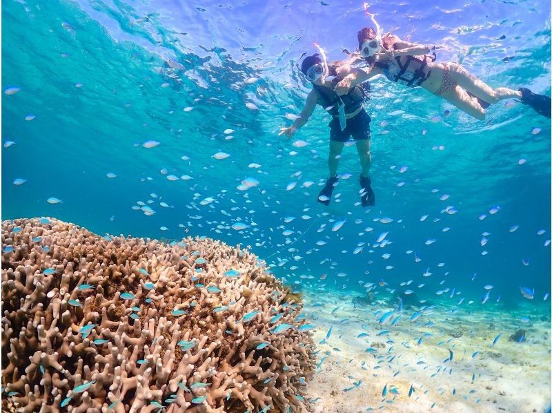 【宮古島】インスタ映え！ウミガメと泳げる贅沢なシュノーケリングツアー！高画質写真データ&器材全て無料！！初心者やお子様でも大歓迎！！！