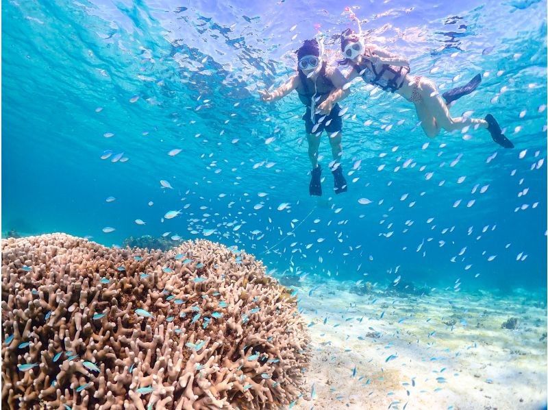 【沖縄・宮古島】初心者専門ガイドだから安心！ウミガメと間近で泳ぐ、特別なシュノーケリング体験！の紹介画像