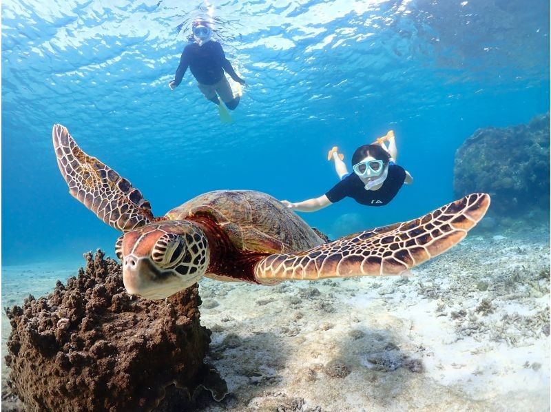 【宮古島/送迎可能】遭遇率100％継続！ ウミガメやカラフルなお魚と泳げる感動のシュノーケルツアー／当日予約＆前日予約OK！の紹介画像