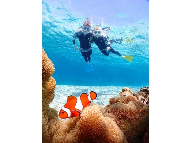 [Miyakojima] 100% chance of encountering them!! Beginners and children welcome!! A special snorkeling experience where you can swim up close with sea turtles and tropical fish!! Free high-resolution photos!!の紹介画像