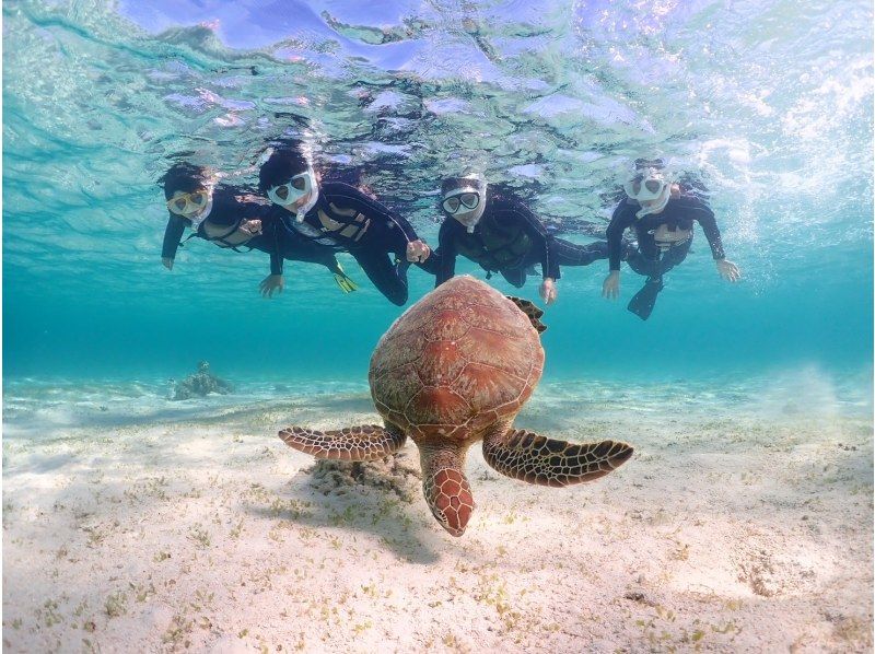 【宮古島】インスタ映え！ウミガメと泳げる贅沢なシュノーケリングツアー！高画質写真データ&器材全て無料！！初心者やお子様でも大歓迎！！！