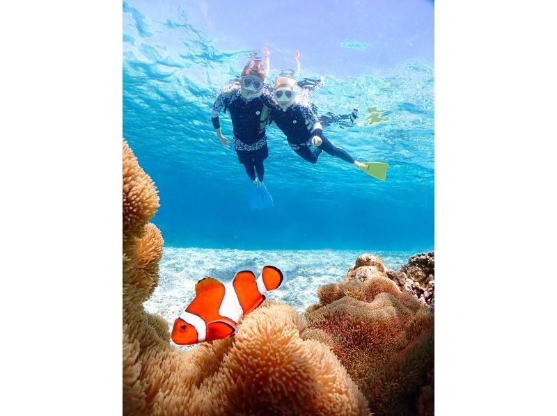 [Miyakojima] 100% chance of encountering them!! Beginners and children welcome!! A special snorkeling experience where you can swim up close with sea turtles and tropical fish!! Free high-resolution photos!!の紹介画像
