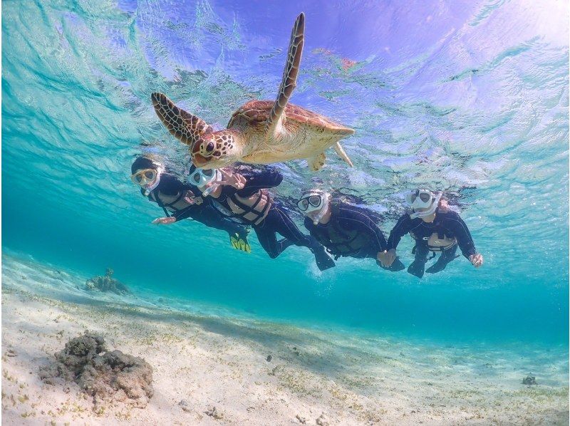 【宮古島】インスタ映え！ウミガメと泳げる贅沢なシュノーケリングツアー！高画質写真データ&器材全て無料！！初心者やお子様でも大歓迎！！！