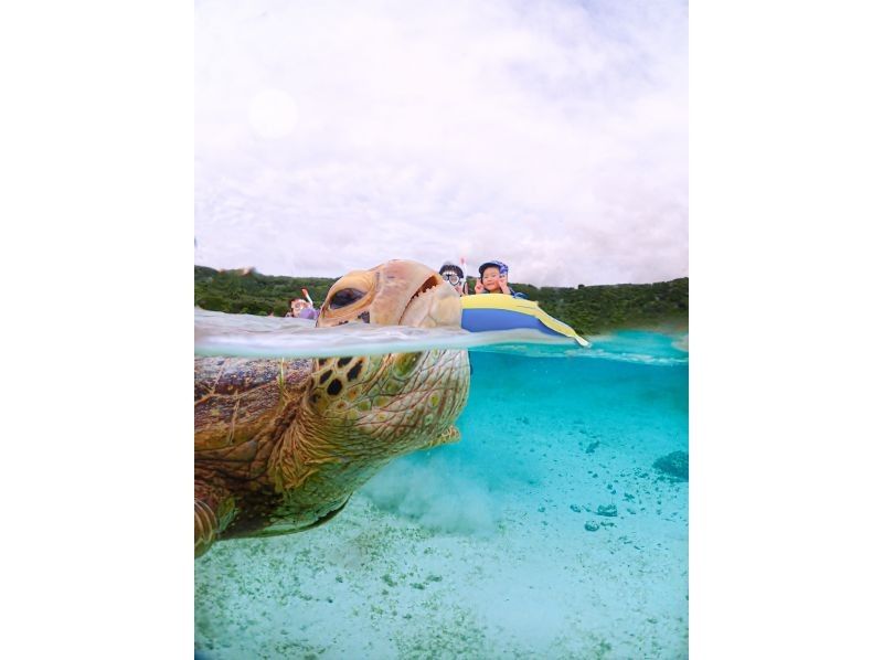 [Miyakojima | Sea turtle encounter rate is almost 100%] Small-group snorkeling tour for beginners | / Safe even in winter / Same-day reservations available / Free high-resolution dataの紹介画像