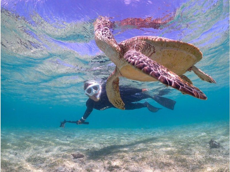 【宮古島】インスタ映え！ウミガメと泳げる贅沢なシュノーケリングツアー！高画質写真データ&器材全て無料！！初心者やお子様でも大歓迎！！！