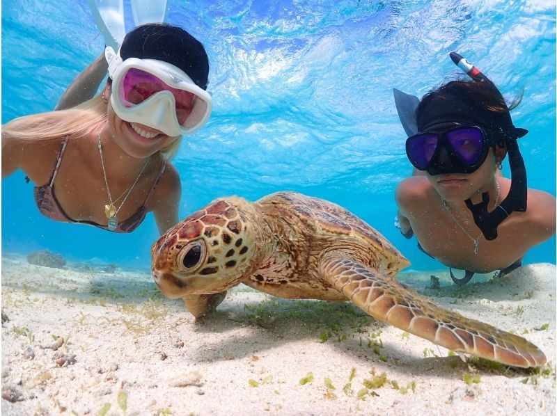 【宮古島/送迎可能】遭遇率100％継続！ ウミガメやカラフルなお魚と泳げる感動のシュノーケルツアー／当日予約＆前日予約OK！の紹介画像